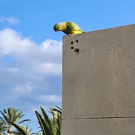 Casa De Mariposas קוסטה דל סילנסיו