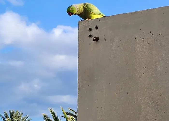 Casa De Mariposas Коста-дель-Силенцио