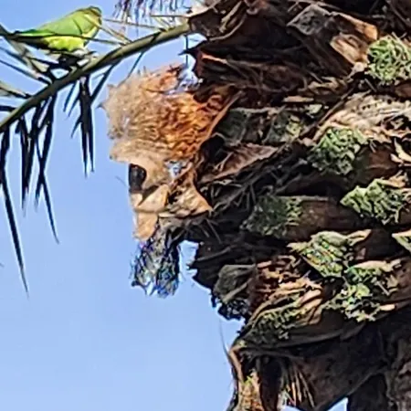 Casa De Mariposas شقة