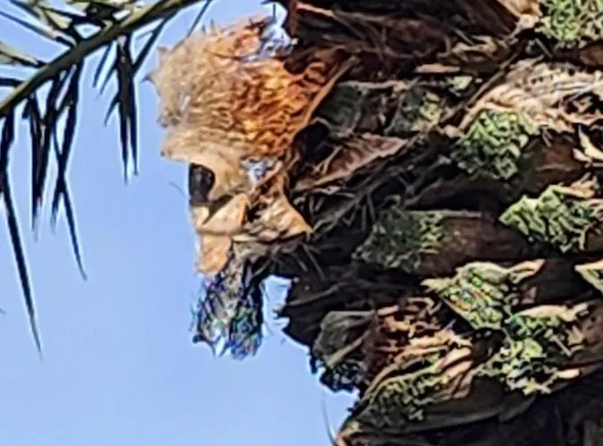 Casa De Mariposas Lejlighed